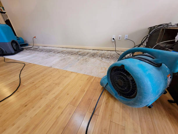 Professional Structural Drying technician working in Keego Harbor, MI